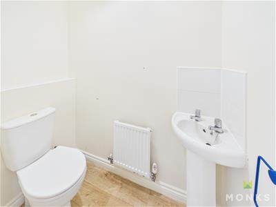 Picture 11